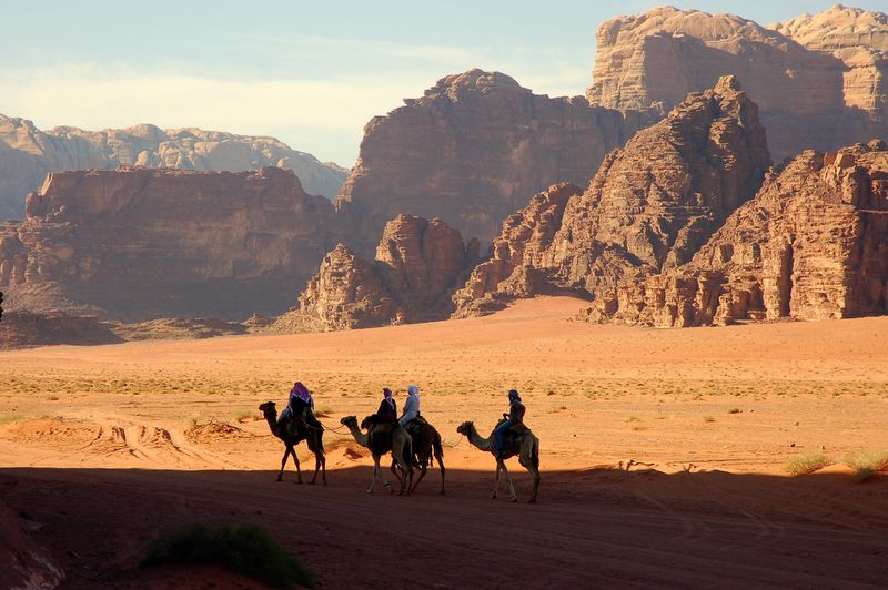 Balades à dos de chameau à Pétra et Wadi Rum